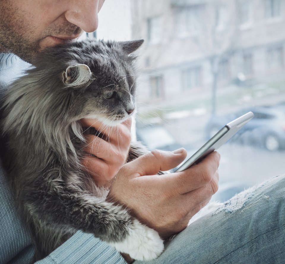 20 Go de données partageables + Voix et textos illimités